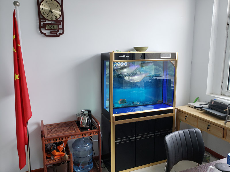 筑森醫院門銷售部經理辦公室的魚.jpg